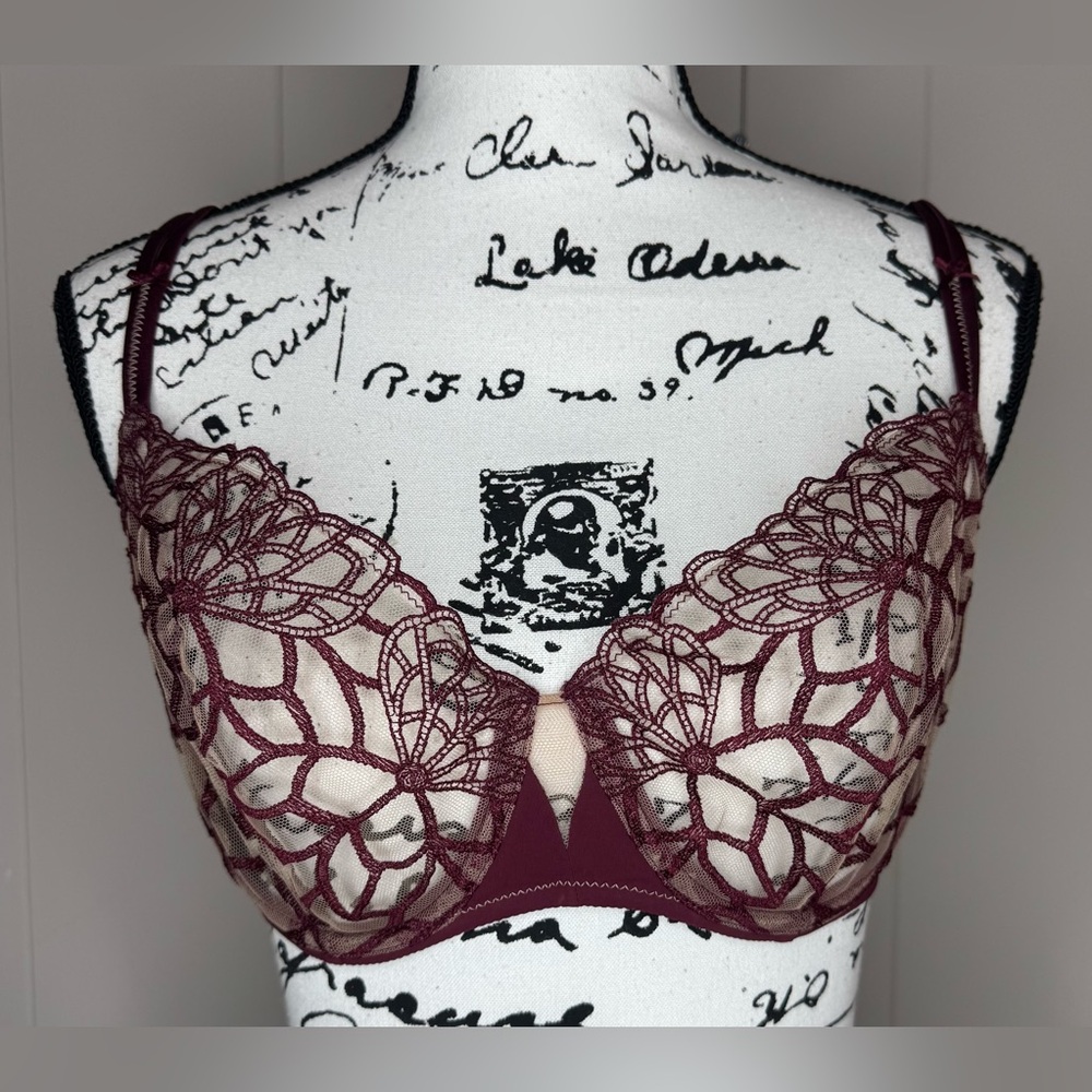 Simone Perele Java Sheer Plunge Sheer Embroidered Demi Bra Size 34 F